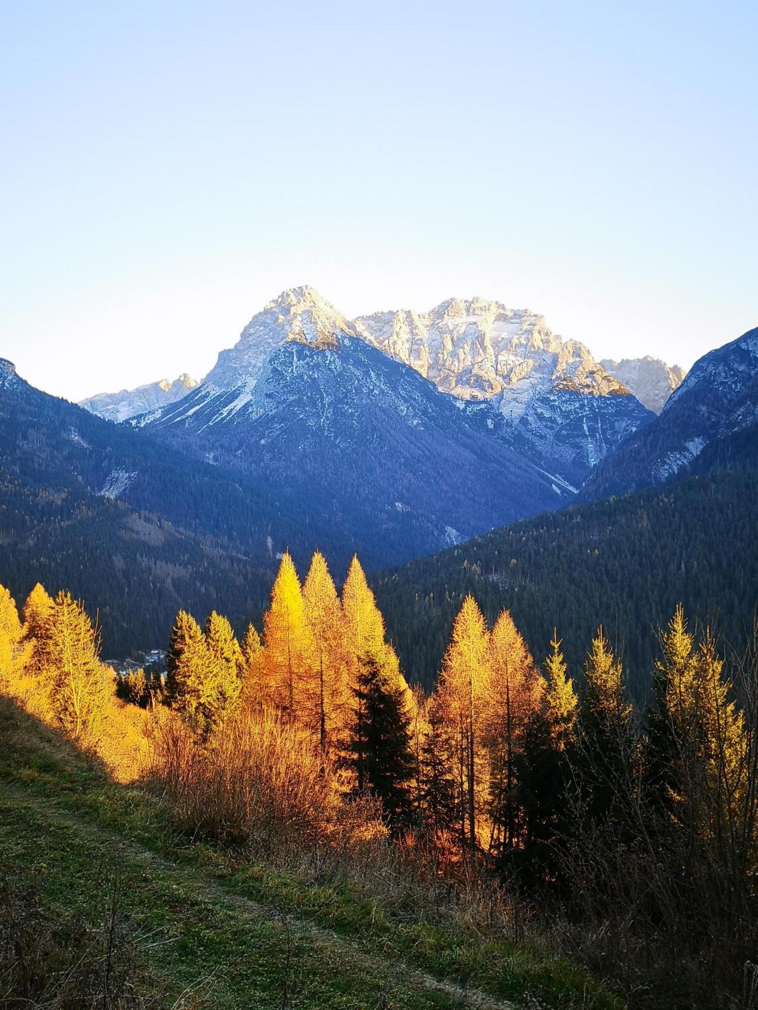 La Terrazzetta Val Comelico Santo Stefano Di Cadore Exteriör bild